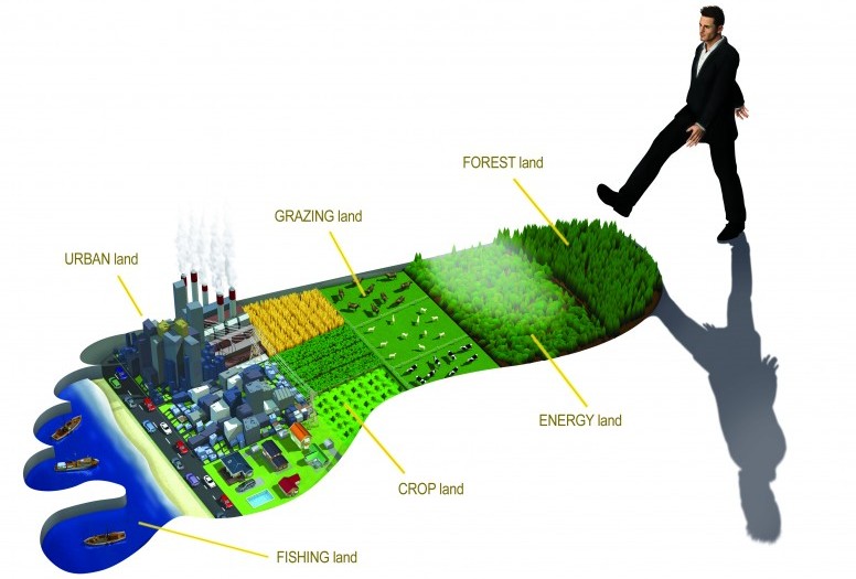 Bildergebnis für Ecological Footprint